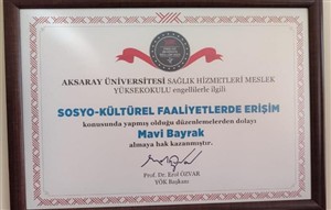Engelli Erişilebilirliği