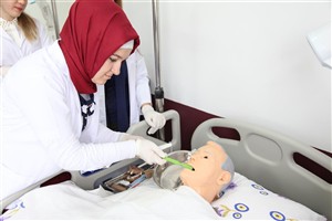 Uygulamalı Dersler